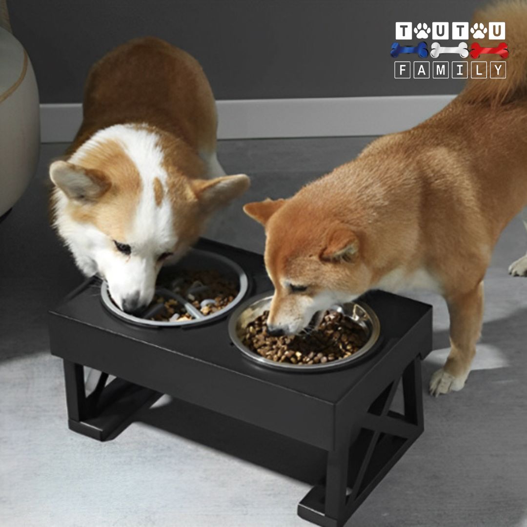 gamelle-chien-surelevee-3-hauteurs-lavable-avec-deux-gamelles-inox-deux-chiens-qui-mange-dans-l-une-des-deux-gamelle-sur-le-support-surélevé-avec-gamelle-calssique-ou-anti-glouton