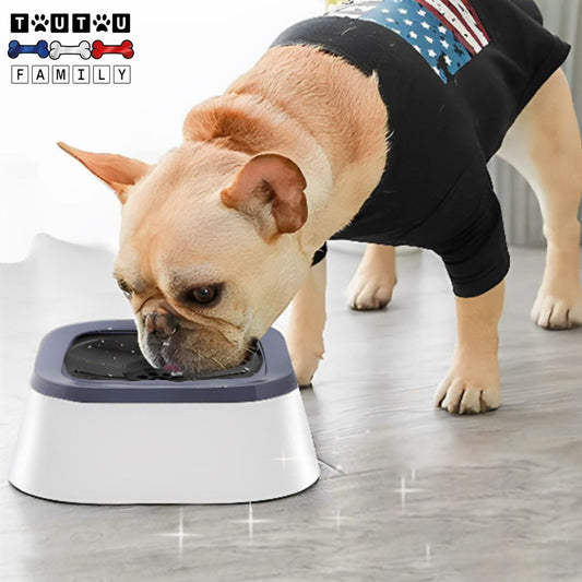 Gamelle-d-eau-pour-chien-anti-éclaboussure-anti-renversement-bouledogue-qui-boit-proprement-dans-sa-gamelle-eau-chien-anti-bave
