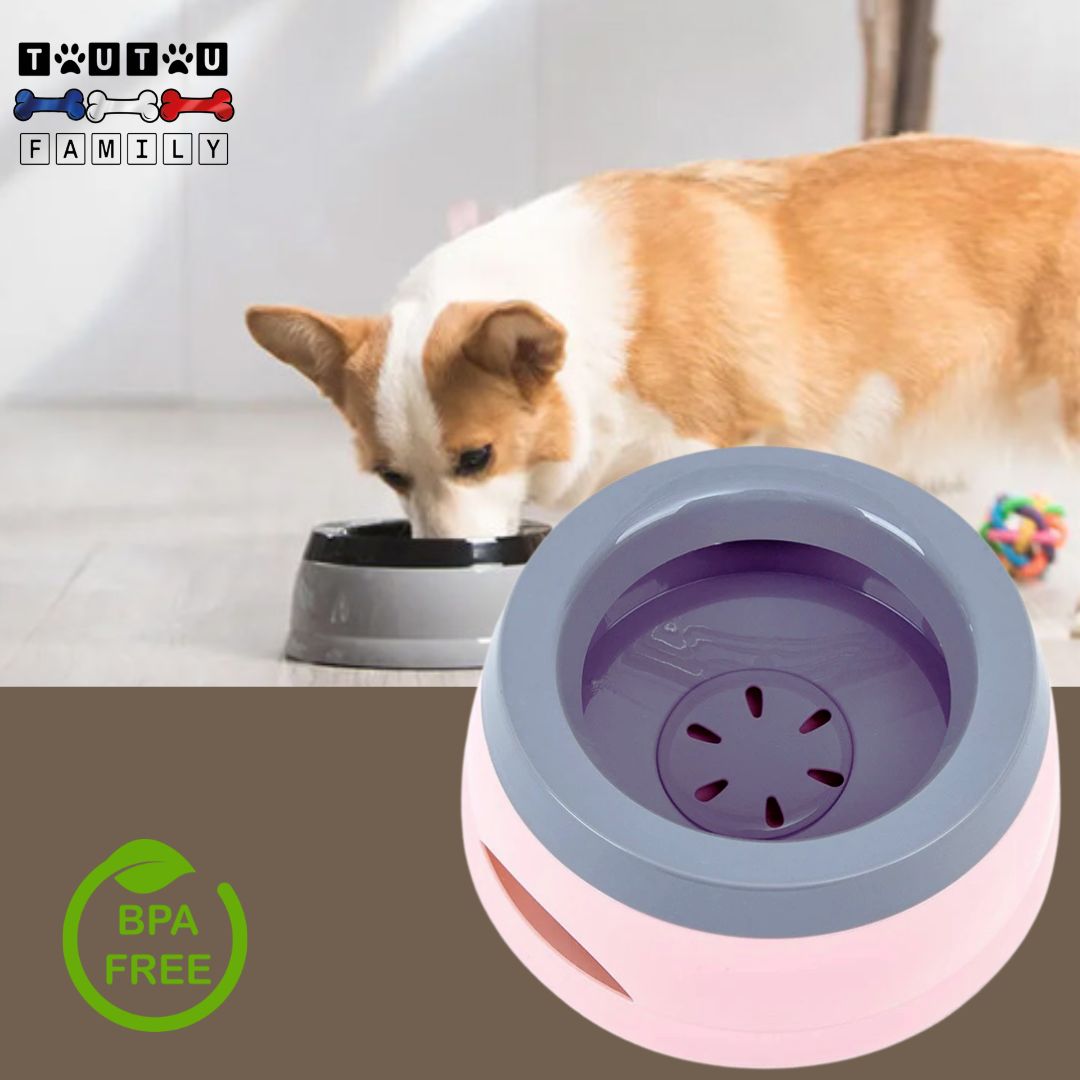 Gamelle-eau-chien-anti-renversement-gamelle-eau-anti-bave-chien-rose-un-chien-qui-boit-dans-sa-gamelle-eau-anti-éclaboussure-démontable-et-lavable-résistante-aux-griffes-etau-choc