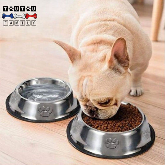 Gamelle-en-inox-pour-chien-anti-derapante-200ml-250ml-330ml-un-bouledogue-qui-mange-ses-croquettes-avec-sa-gamelle-avec-base-silicone-qui-reste-en-place