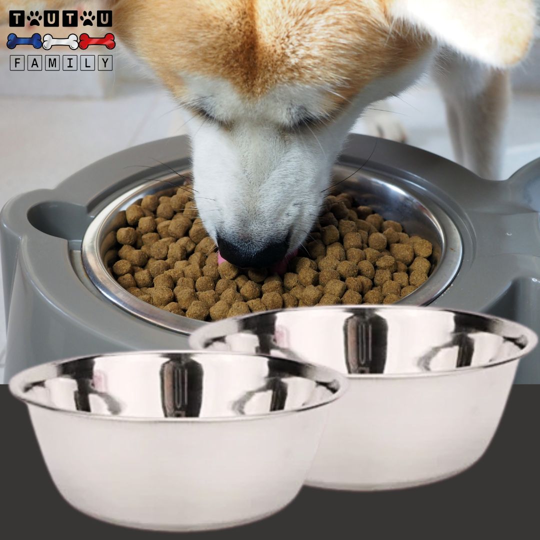 Gamelle-en-inox-pour-chien-lot-de-2-gamelles-chien-chiot-diamètre-19-cm-pour-chien-de-moyenne-taille-gamelle-eau-et-croquette