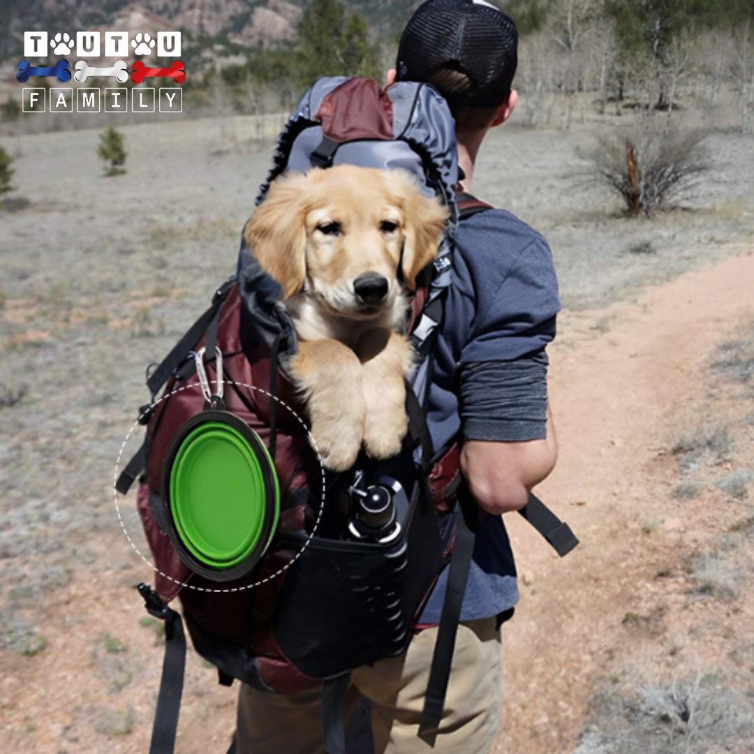 Gamelle-pliable-chien-pour-voyage-camping-un-chiot-dans-le-sac-à-dos-porté-par-son-maitre-en-pleine-nature-avec-sa-gamelle-pliable-accroché-au-sac-à-dos-grâce-à-son-mousqueton