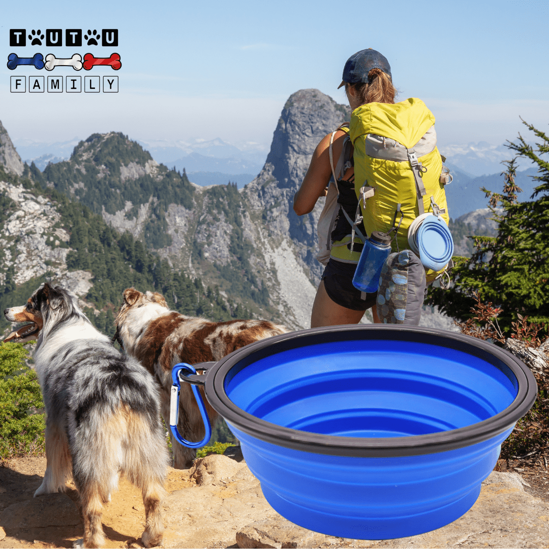 Gamelle-pliable-chien-compacte avec mousqueton, vendues par lot de deux, robuste et solide et lavable en lave-vaisselle, disponible en 3 modèles : 350ml, 1L, 1,5L pour chien de toutes tailles, pour utilisation en voyage, à l'extérieur, en sortie, en promenade pour croquette, nourriture ou eau-une maitresse et ses deux chiens border collie en randonnée dans la montagne avec les gamelles pliables bleues accrochées par le mousqueton sur son sac à dos