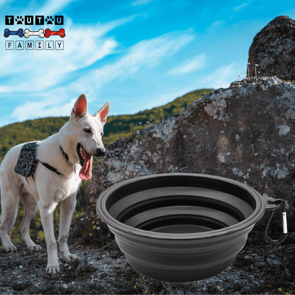 Gamelle pliable chien (lot de 2) - FlexToutou™