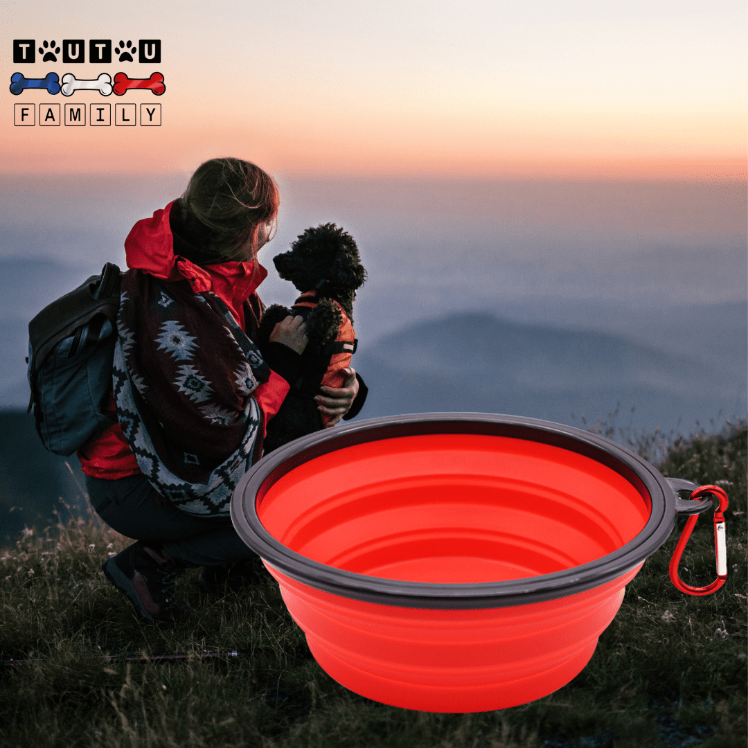 Gamelle-pliable-chien-compacte avec mousqueton, vendues par lot de deux, robuste et solide et lavable en lave-vaisselle, disponible en 3 modèles : 350ml, 1L, 1,5L pour chien de toutes tailles, pour utilisation en voyage, à l'exterieur, en sortie, en promenade pour croquette, nourriture ou eau-un caniche dans les bras de son maitre qui font une pause dans leur balade pour regarder la vue avec les deux gamelles rouges pour les balades