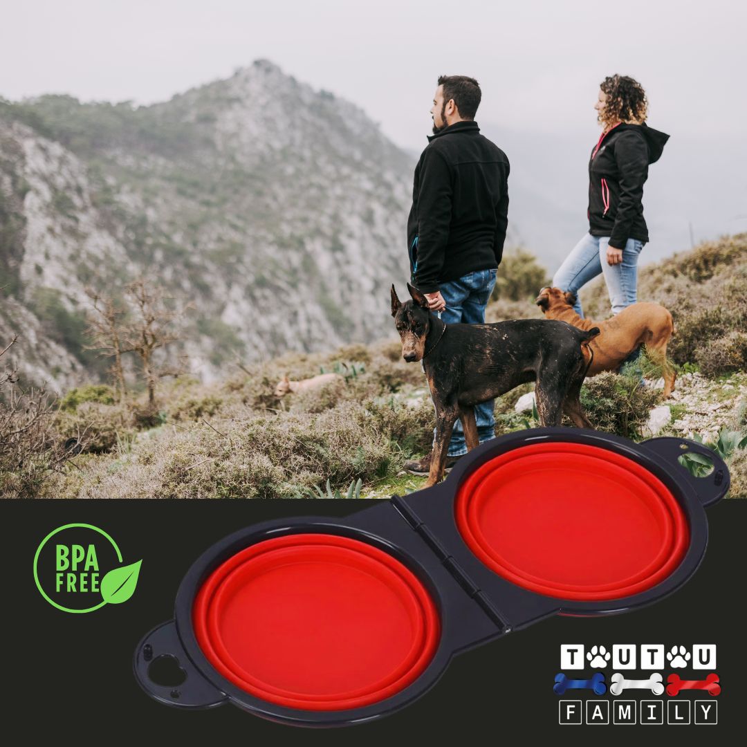 Gamelle-pliable-pour-chien-gamelle-2-en-1-silicone-sans-BPA-écoresponsable-rouge-un-couple-avec-son-chien-et-sa-gamelle-de-voyage-dans-la-montagne-en-randonnée-admirant-le-paysage