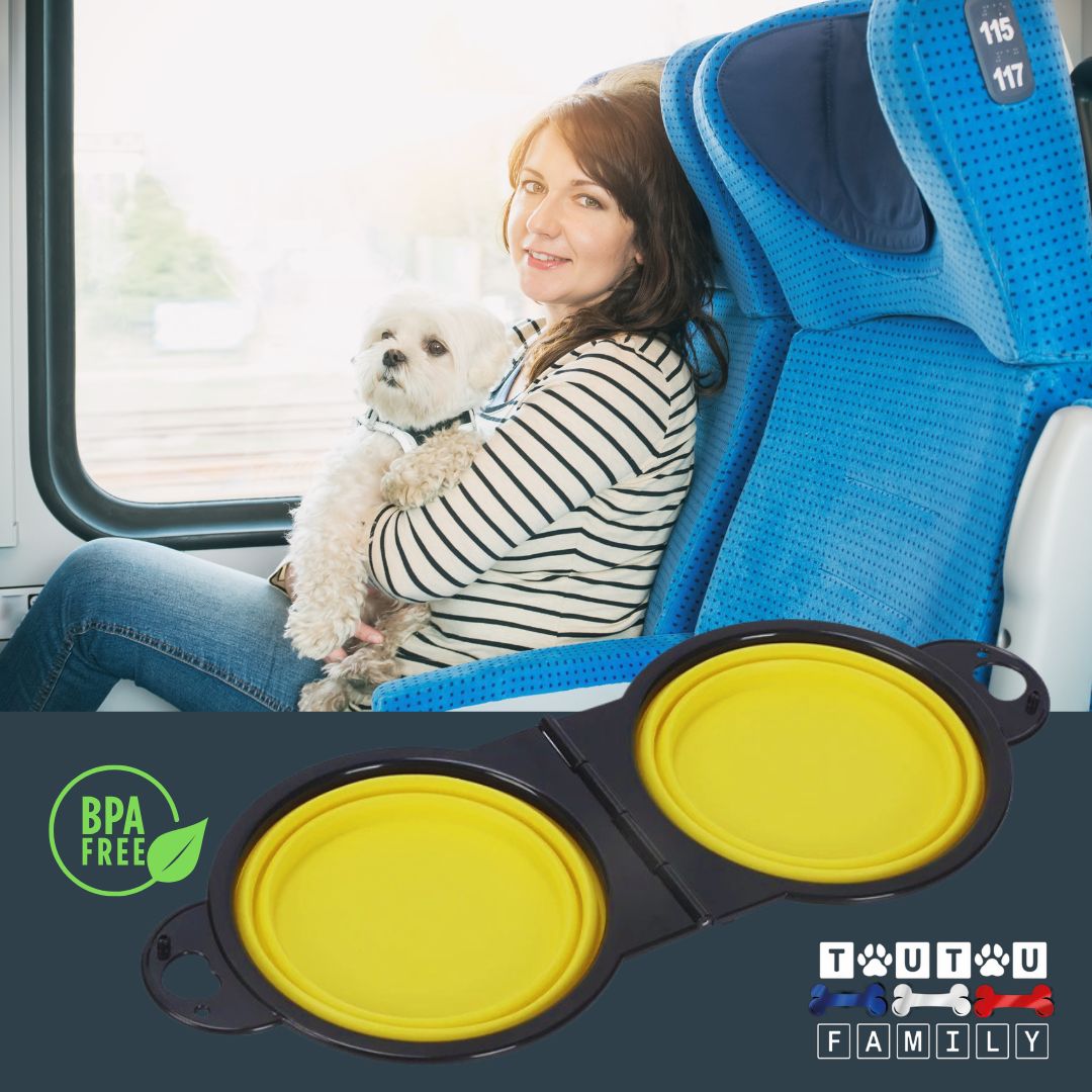 Gamelle-pliable-pour-chien-gamelle-2-en-1-silicone-sans-BPA-écoresponsable-jaune-un-chien-sur-les-genoux-de-sa-maitresse-dans-n-train-avec-sa-gamelle-pliable-jaune