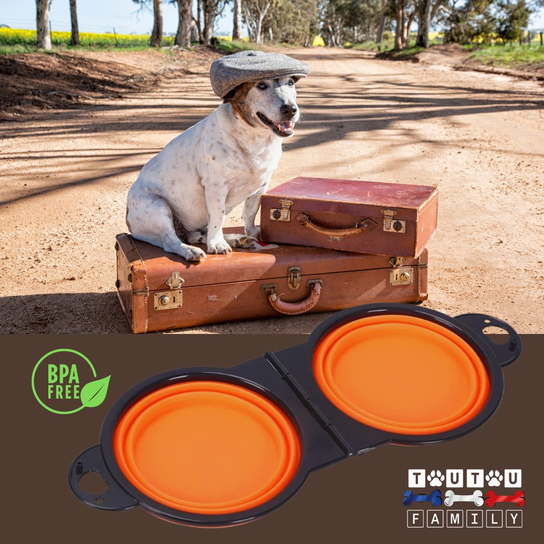 Gamelle-pliable-pour-chien-gamelle-2-en-1-silicone-sans-BPA-écoresponsable-orange-un-chien-sur-les-valises-sur-une-aire-d-autoroute-an-vacance-avec-sa-gamelle-orange