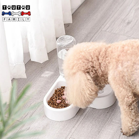 gamelle-pour-chien-toy-petit-chien-avec-distributeur-d-eau-sans-BPA-amovible-un-caniche-qui-se-désaltère-avec-une-eau-toujours-propre-dans-sa-gamelle-double