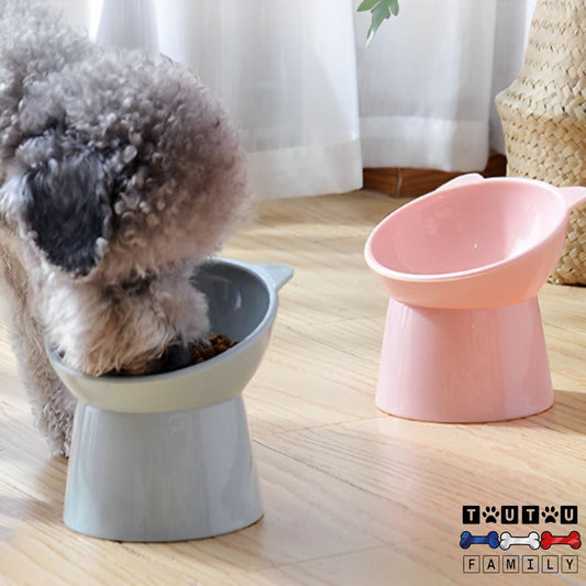 Gamelle-pour-petit-chien-design-avec-rebord-un-chien-de-petite-taille-qui-mage-ses-croquettes-dans-la-gamelle-haute-avec-rebord-anti-éclaboussure