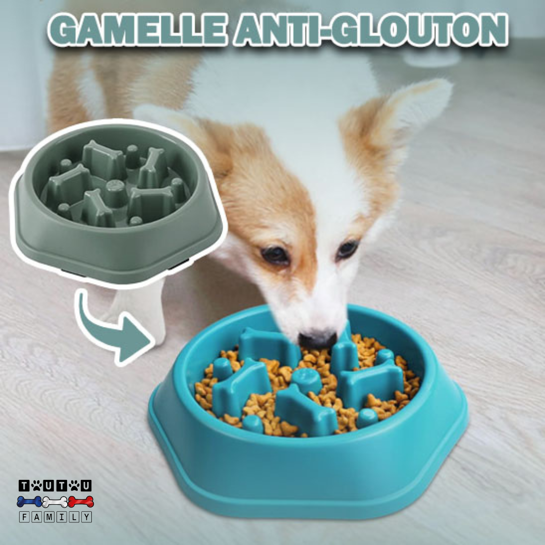 Gamelle anti glouton chien - FreineToutou™