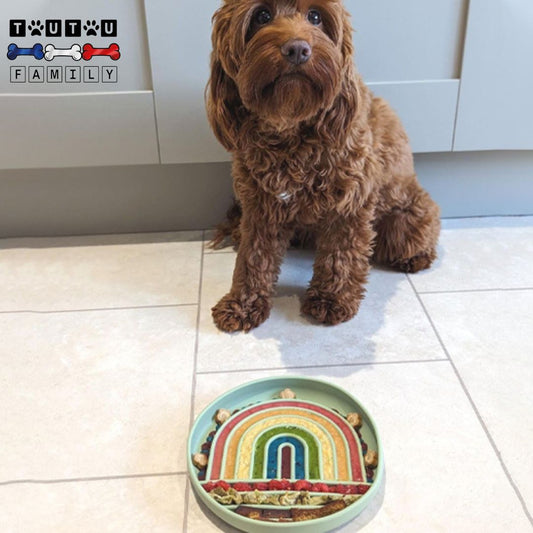 Gamelles-chien-anti-glouton-tapis-de-léchage-aliment-sec-et-humide-labyrinthe-pour-aliment-un-caniche-en-bonne-santé-avec-sa-gamelle-anti-glouton