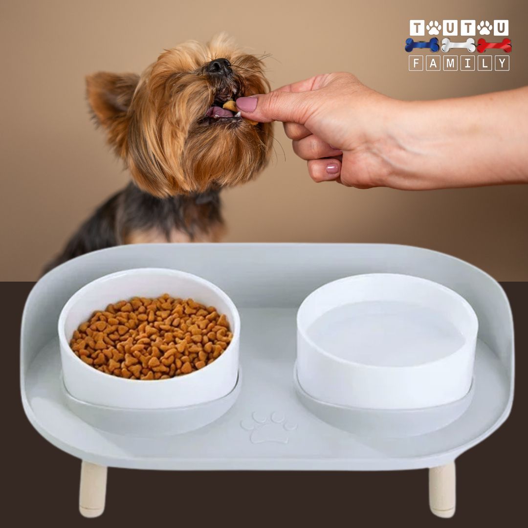 Gamelles-surelevees-pour-chien-support-gamelle-double-anti-renversement-gris-avec-2-gamelles-hautes-en-fibre-de-bambou-lavable-au-lave-vaisselle