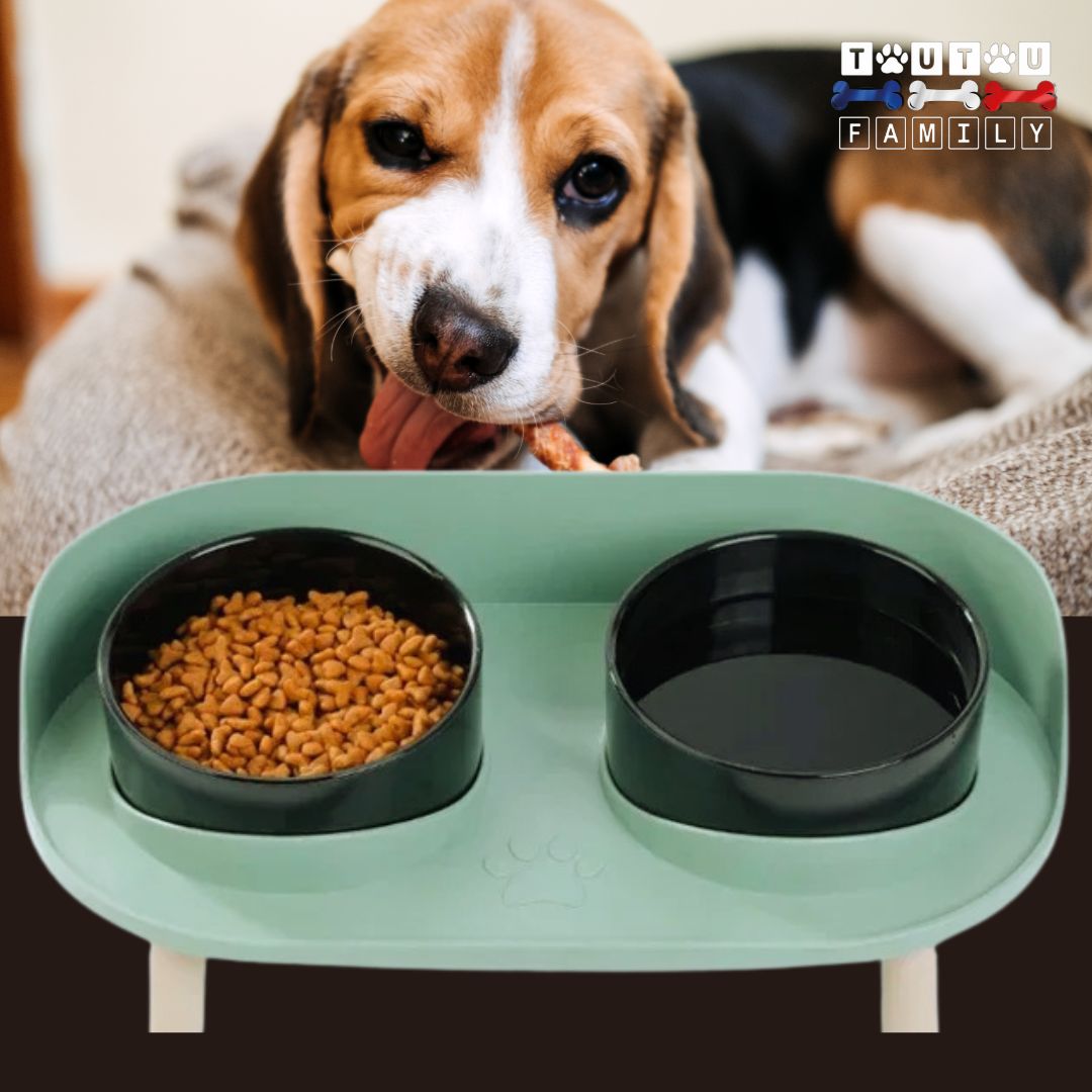 Gamelles-surelevees-pour-chien-support-vert-gamelle-double-anti-renversement-noires-lavable-au-ave-vaisselles-2-gamelles-avec-support-anti-renversement