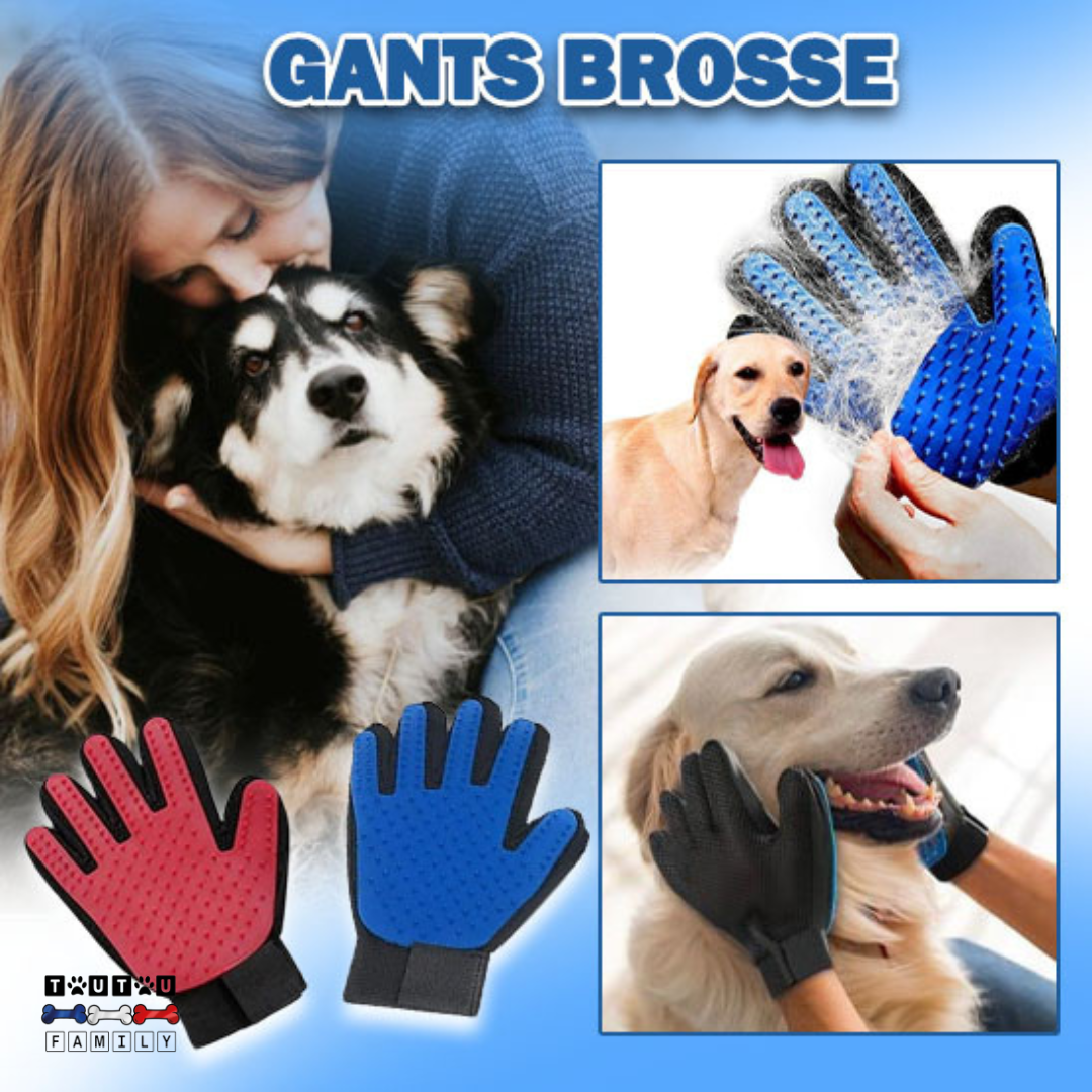 Gant brosse chien - BrosseToutou™