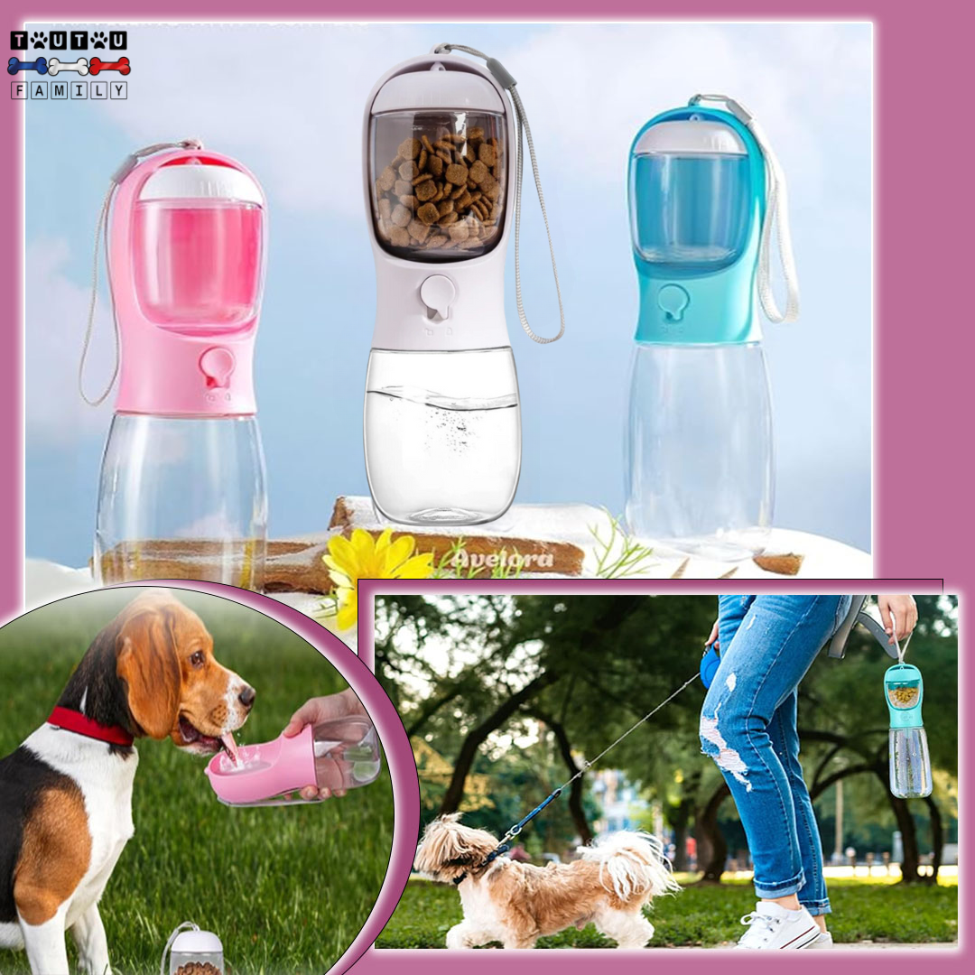 Bouteille d'eau pour chien - DistribToutou™