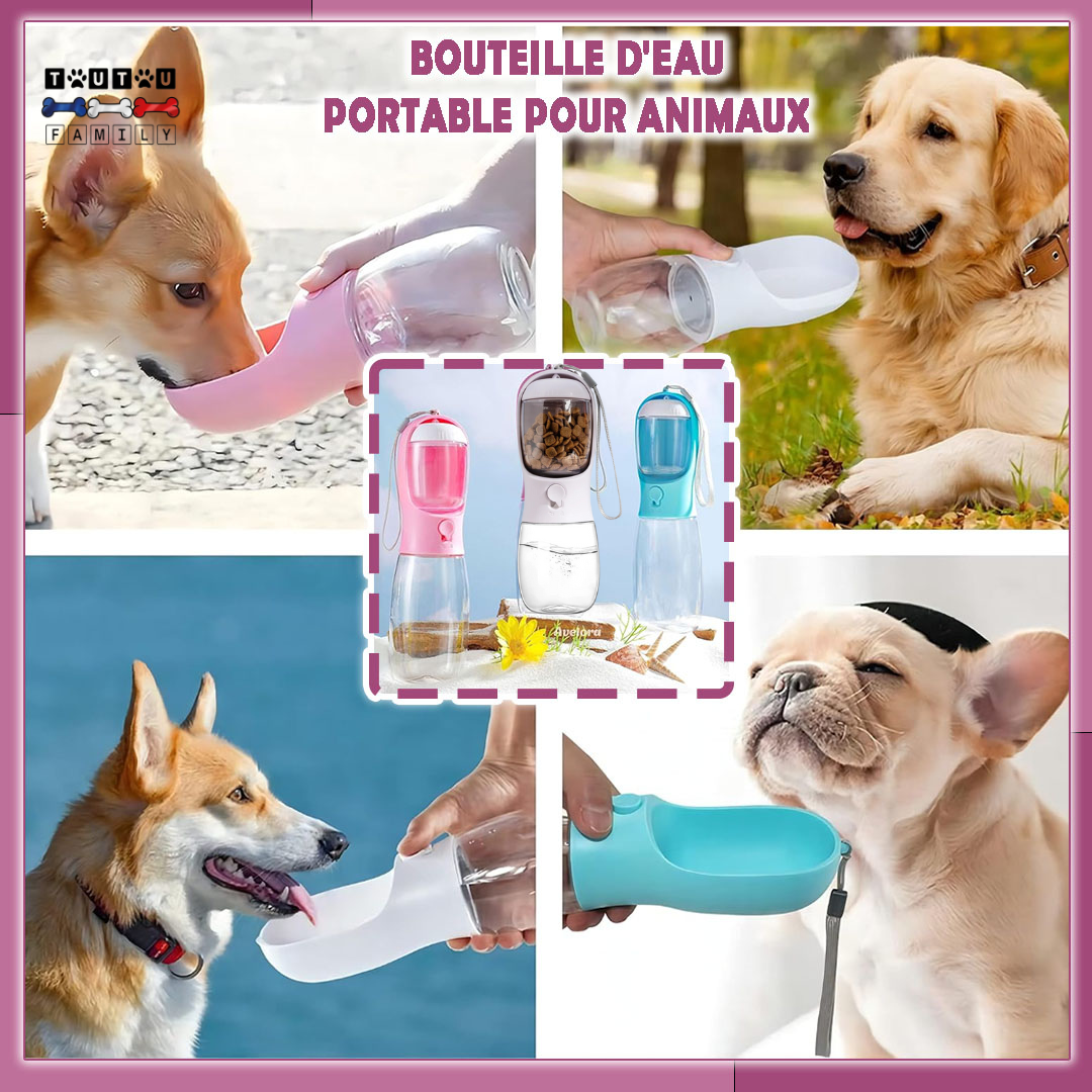 Bouteille d'eau pour chien - DistribToutou™