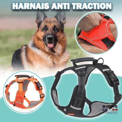 Harnais anti traction - ControlToutou™