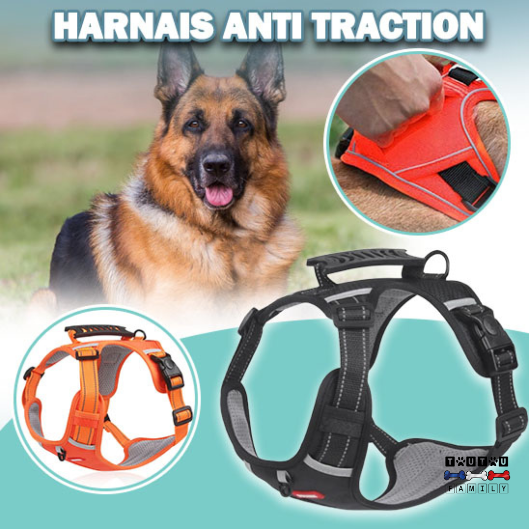 Harnais anti traction - ControlToutou™