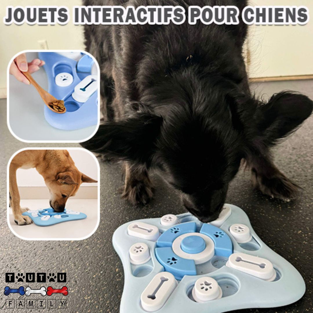 jeu-intelligent-pour-chien-d-occupation-avec-friandise-croquette-cachées