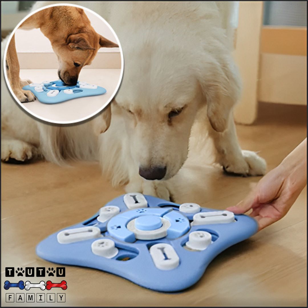 jeu-intelligent-pour-chien-distributeur-de-croquette-puzzle