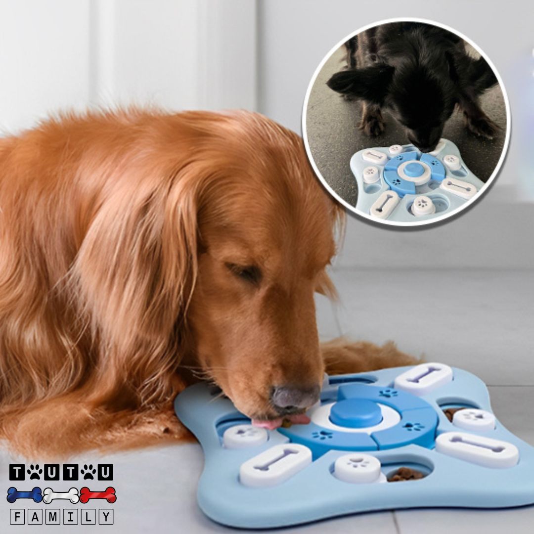 jeu-intelligent-pour-chien-puzzle-avec-friandises-cachées