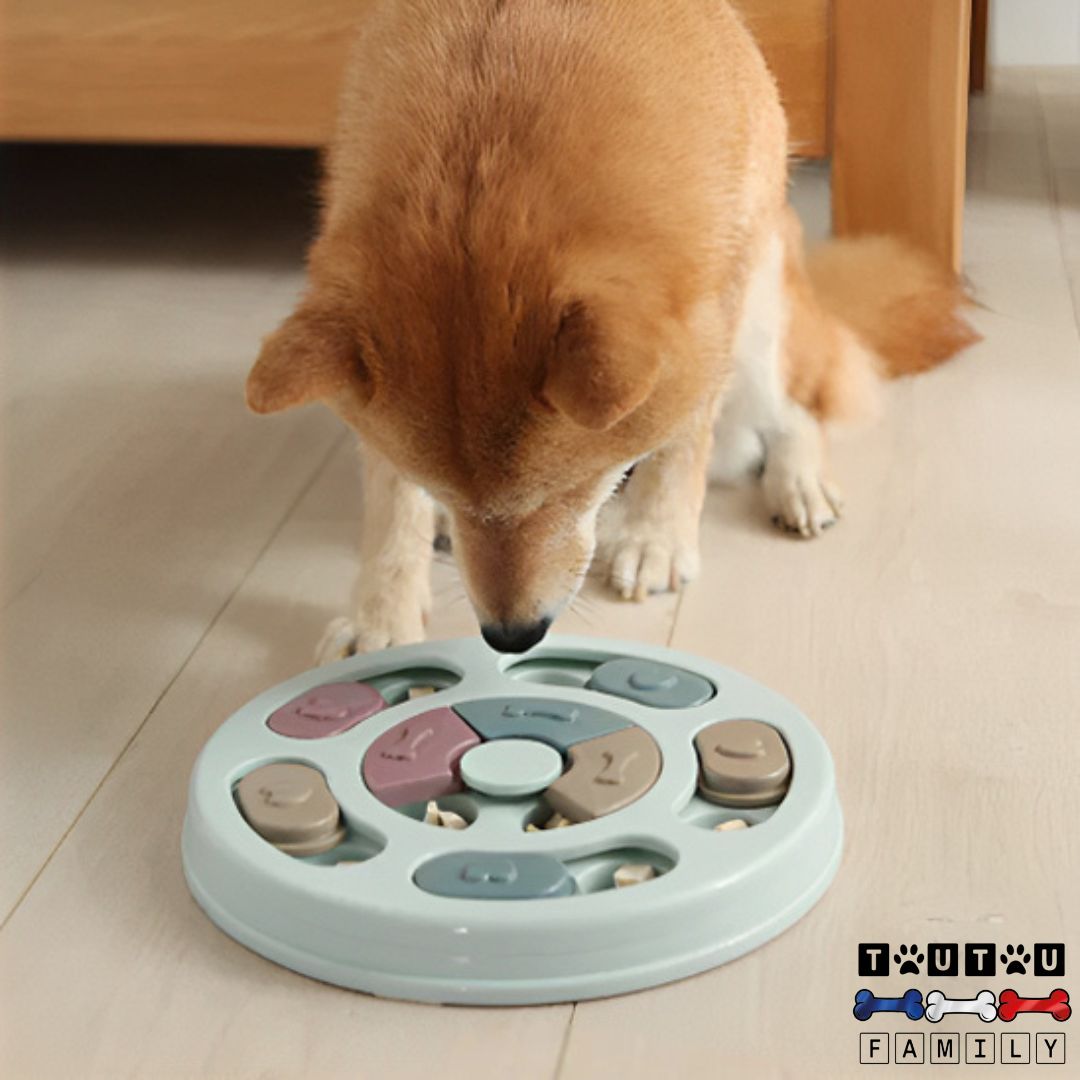 jeu-pour-chien-intelligent-anti-glouton