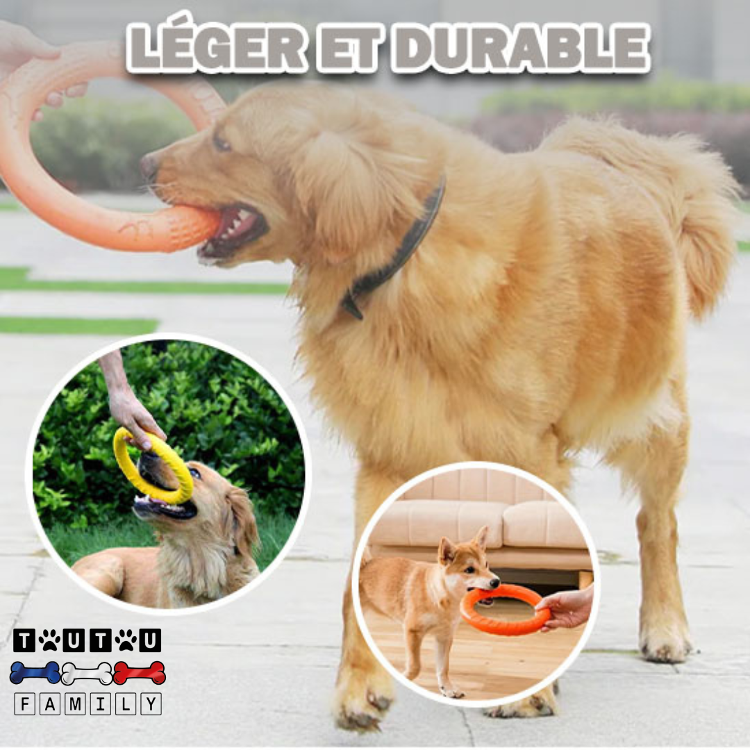 Jouet pour chien interactif - AnneauToutou™