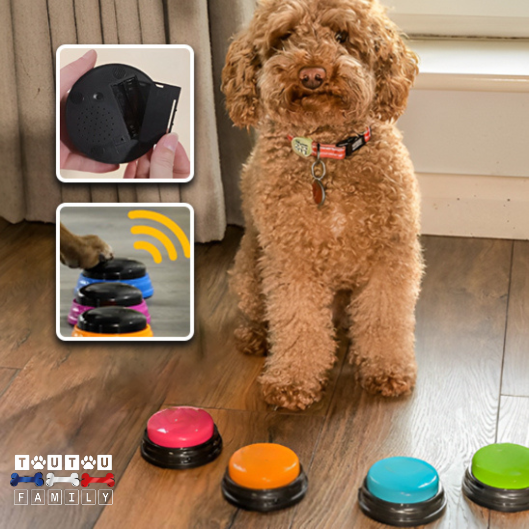 Boutons communication chien - ParleToutou™