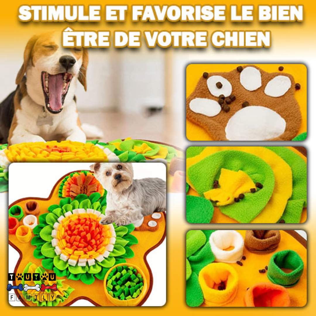 Tapis de fouille chien - FouilleToutou™