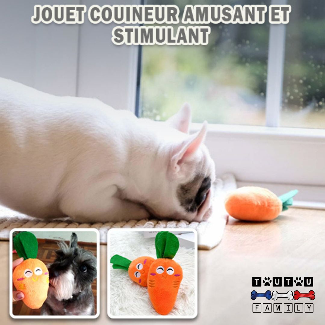 Jouet-chien