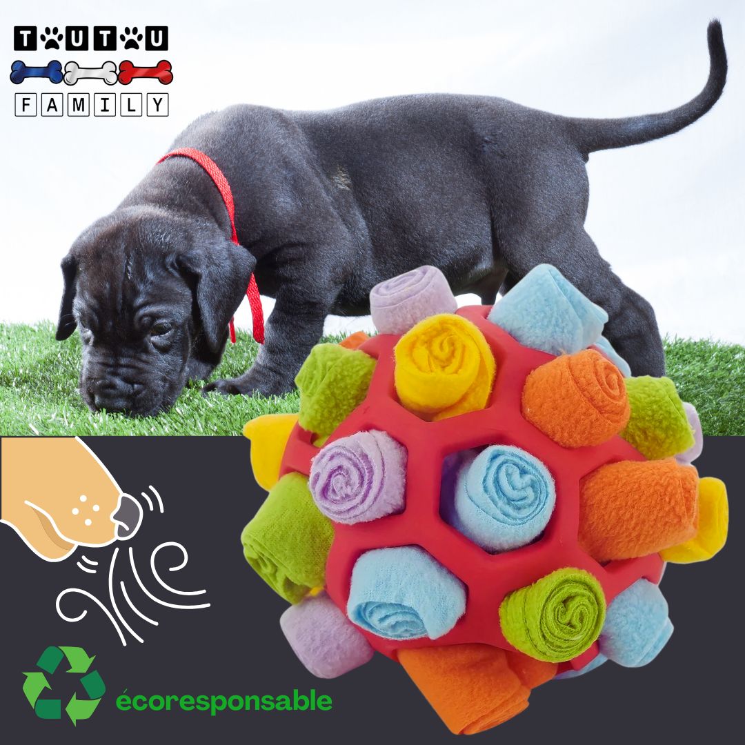 jouet-chien-de-fouille-olfactif-chiot