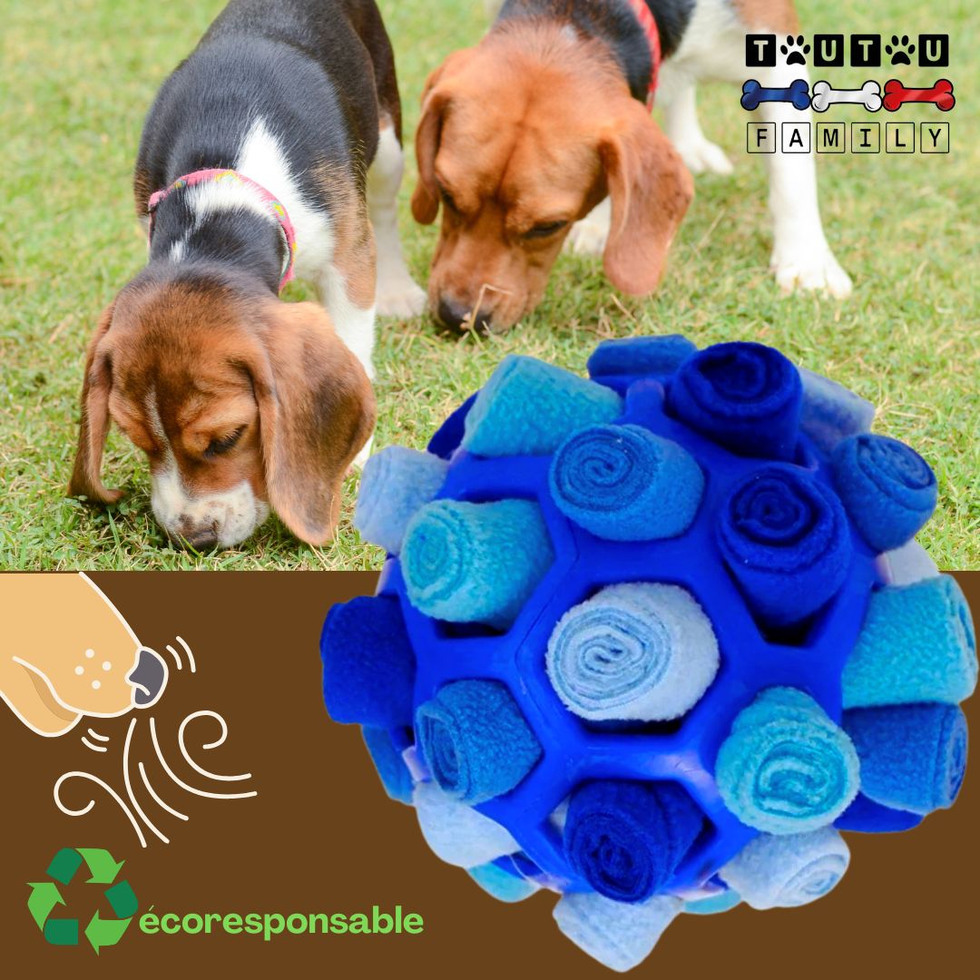 jouet-chien-balle-de-fouille-pour-croquette-beagle