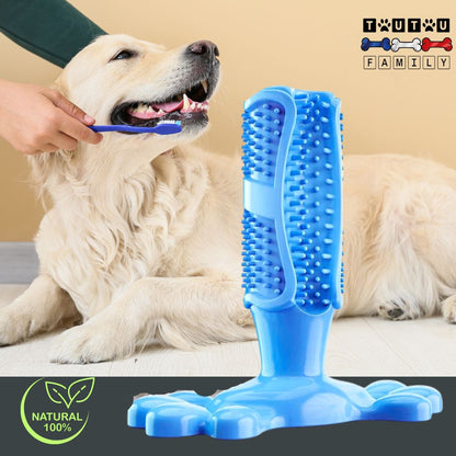 jouet-chien-anti-tartre-bleu