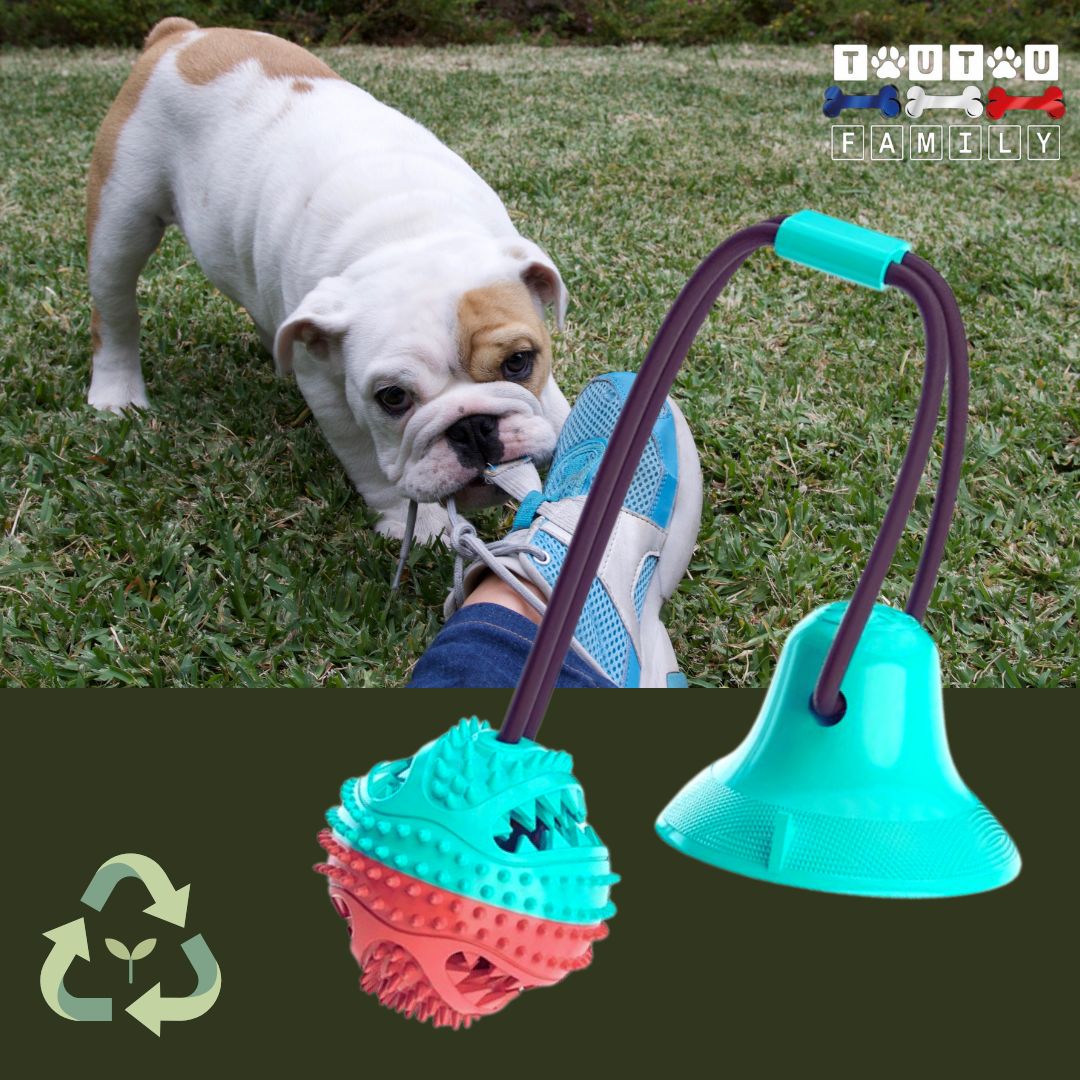 jouet-chien-distributeur-de-croquette-turquoise-et-rose