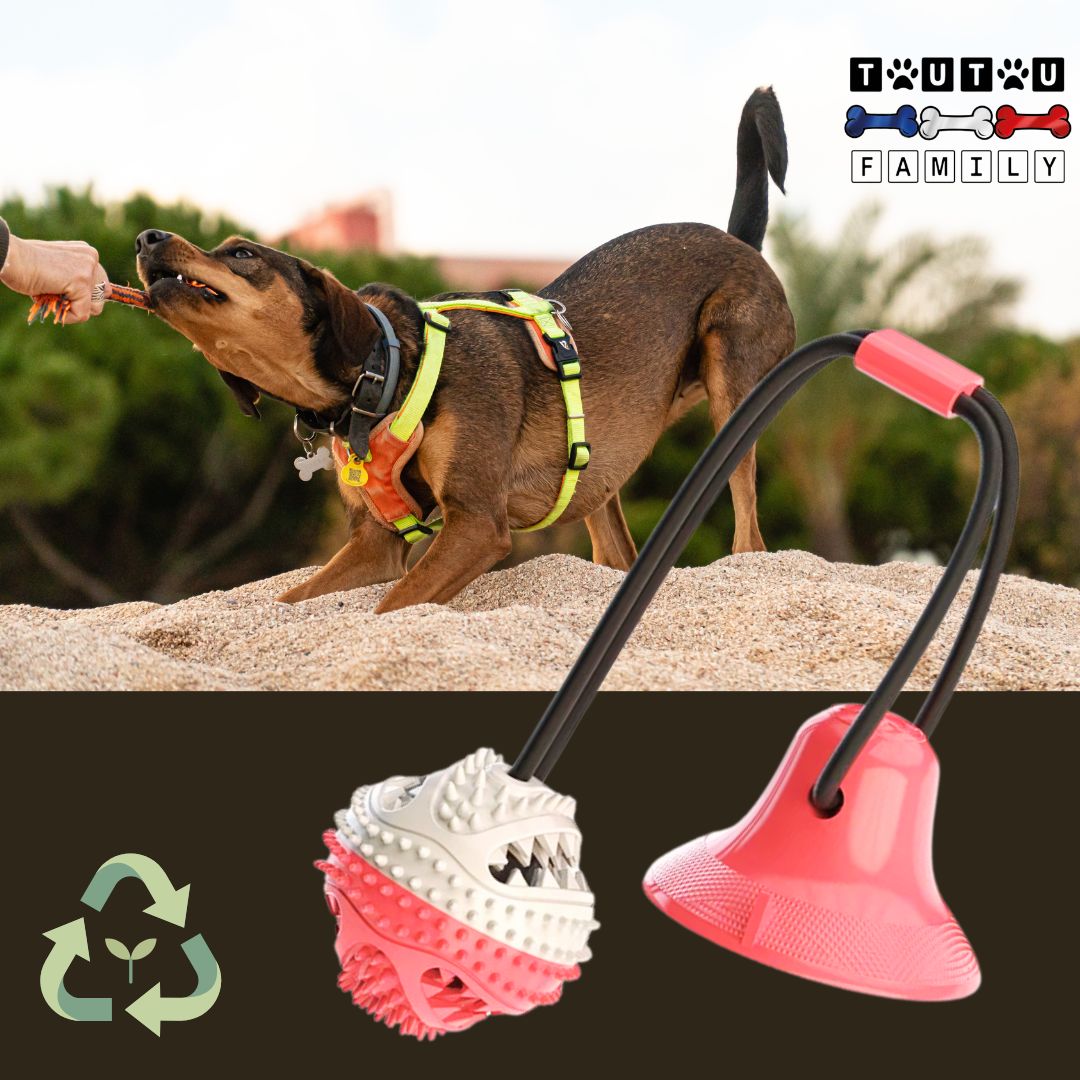 jouet-chien-distributeur-de-croquette-rose-et-blanc