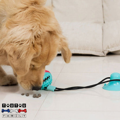 jouet-chien-distributeur-de-croquette-jouet-interactif-pour-chien-balle-avec-corde-un-chien-qui-joue-avec-la-balle-fixée-avec-une-corde-et-il-a-trouvé-ses-croquettes