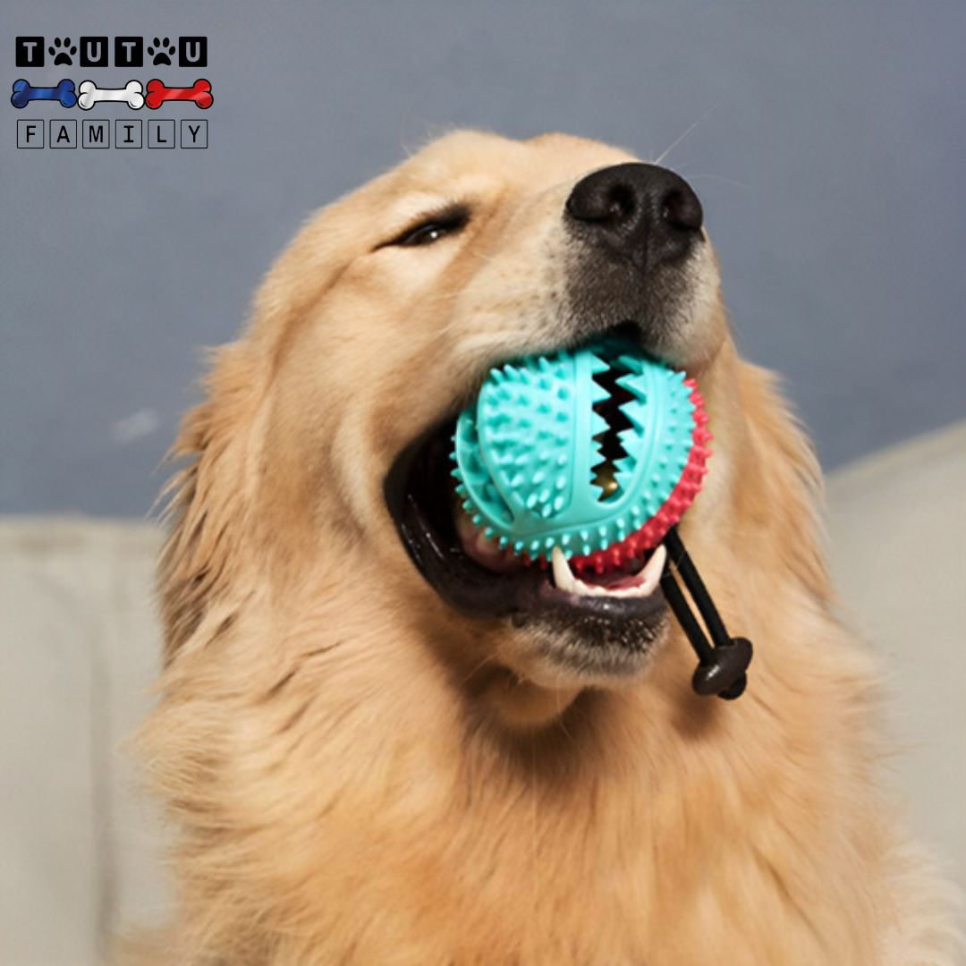 jouet-chien-distributeur-de-croquette-jouet-interactif-pour-chien-jouet-qui-couine-jouet-chien-distributeur-de-croquette