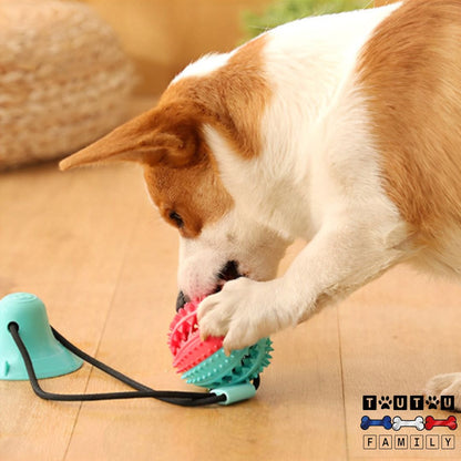 jouet-chien-distributeur-de-croquette-jouet-interactif-pour-chien-tire-a-la-corde