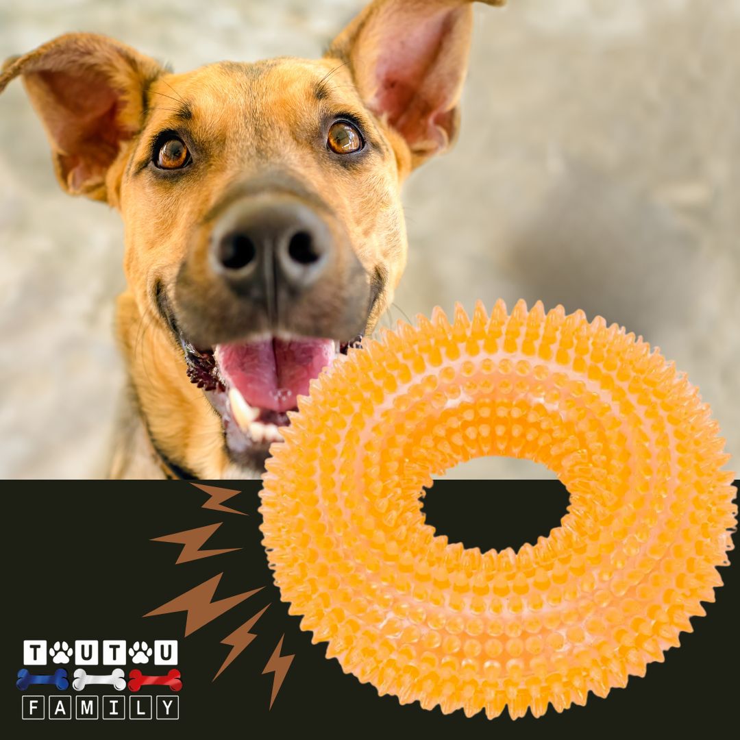 Jouet chien - FlotteToutou™