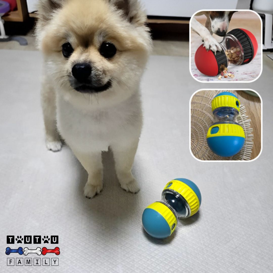 jouet-distributeur-de-croquette-chien-anti-obésité-un-petit-chien-à-coté-du-jouet-ayant-fini-le-jeu