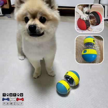 jouet-distributeur-de-croquette-chien-anti-obésité-un-petit-chien-à-coté-du-jouet-ayant-fini-le-jeu