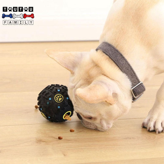 jouet-distributeur-de-croquettes-chien-puzzle-un-bouledogue-français-qui-renifle-et-pousse-la-balle-pour-en-faire-sortir-les-friandises