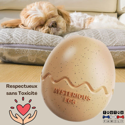jouet-d-occupation-chien-oeuf-a-garnir-beige-un-coton-de-tuléar-qui-dort-sereinement