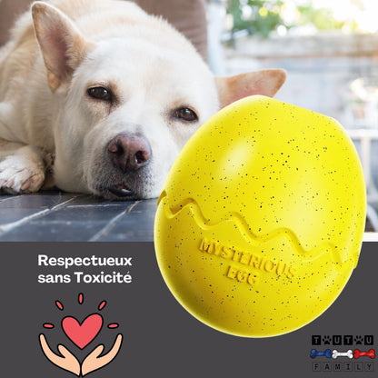 jouet-d-occupation-chien-oeuf-a-garnir-jaune-sans-produit-toxique-éco-responsable