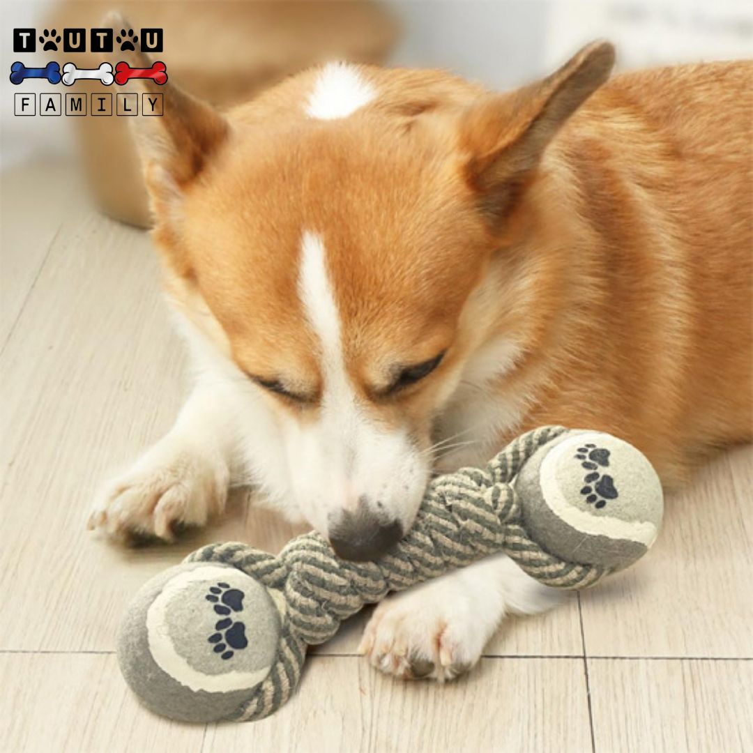 Jouet-en-corde-pour-chien-coton-un-chien-qui-mâche-et-mordille-le-jouet-en-corde-avec-nœud-solide-en-coton