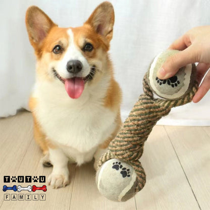 Jouet-en-corde-pour-chien-a-nœud-et-balle-un-chien-qui-joue-au-tire-à-la-corde-avec-son-maitre-jeu-éducatif-jouet-interactif