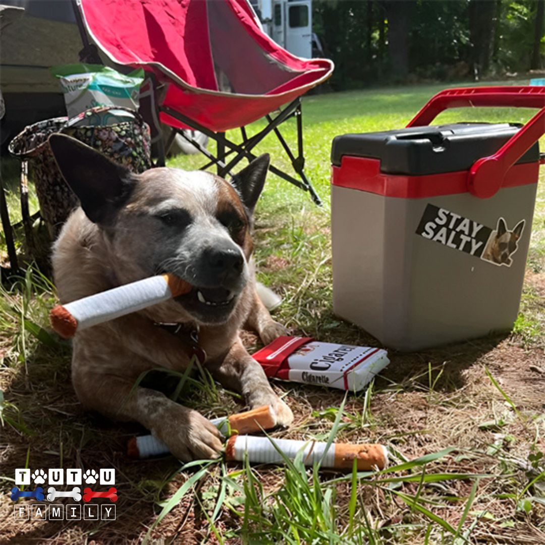 Jouet-en-peluche-pour-chien-cigarette-jouet-d-occupation-un-jouet-humoristique-dans-la-mâchoire-des-chiens-anti-stress