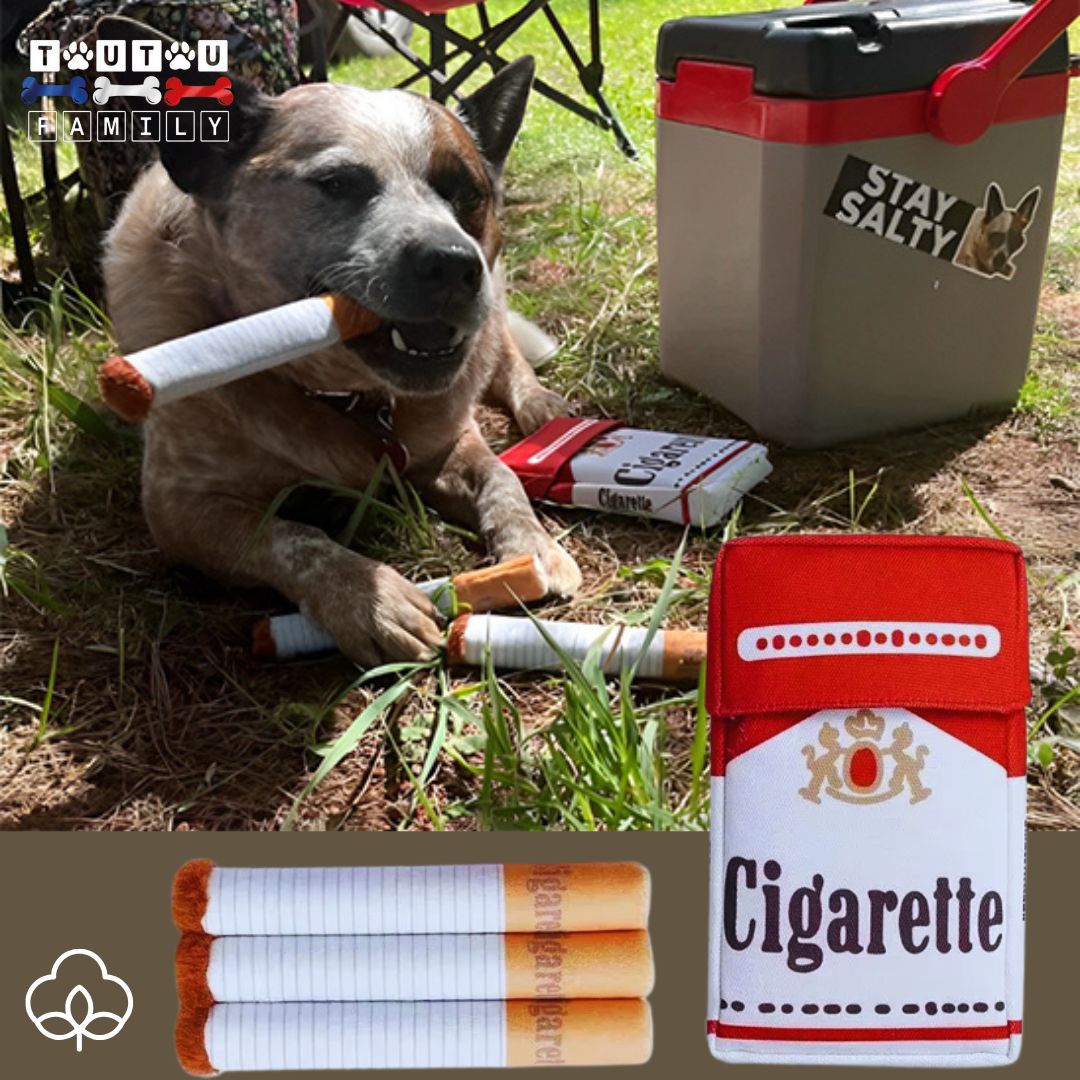 Jouet-en-peluche-3-jouet-cigarettes-et-étui
