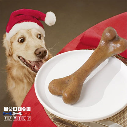 Jouet-indestructible-pour-chien-os-hygiène-dentaire-jouet-éducatif-d-occupation-idéal-pour-les-mâcheur-agressif-un-golden-qui-regarde-avec-envie-le-jouet-en-forme-d-os